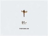 藏品(雙翅目)的圖片